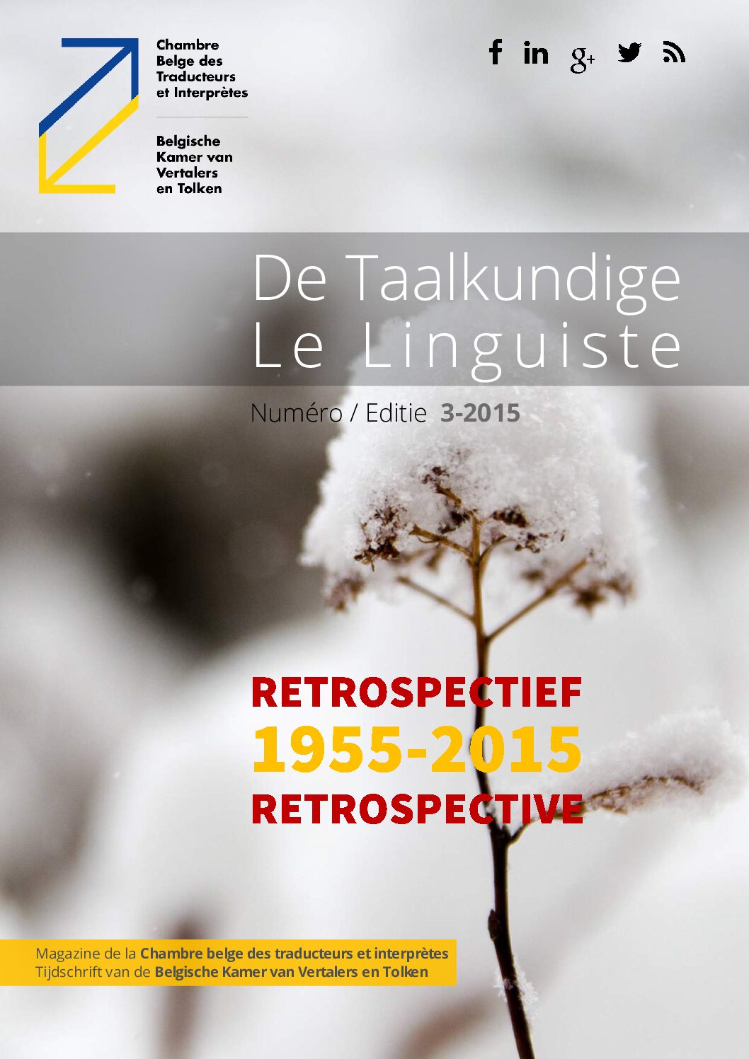 Image de présentation pour le document : De Taalkundige – Le Linguiste 2015 / 3