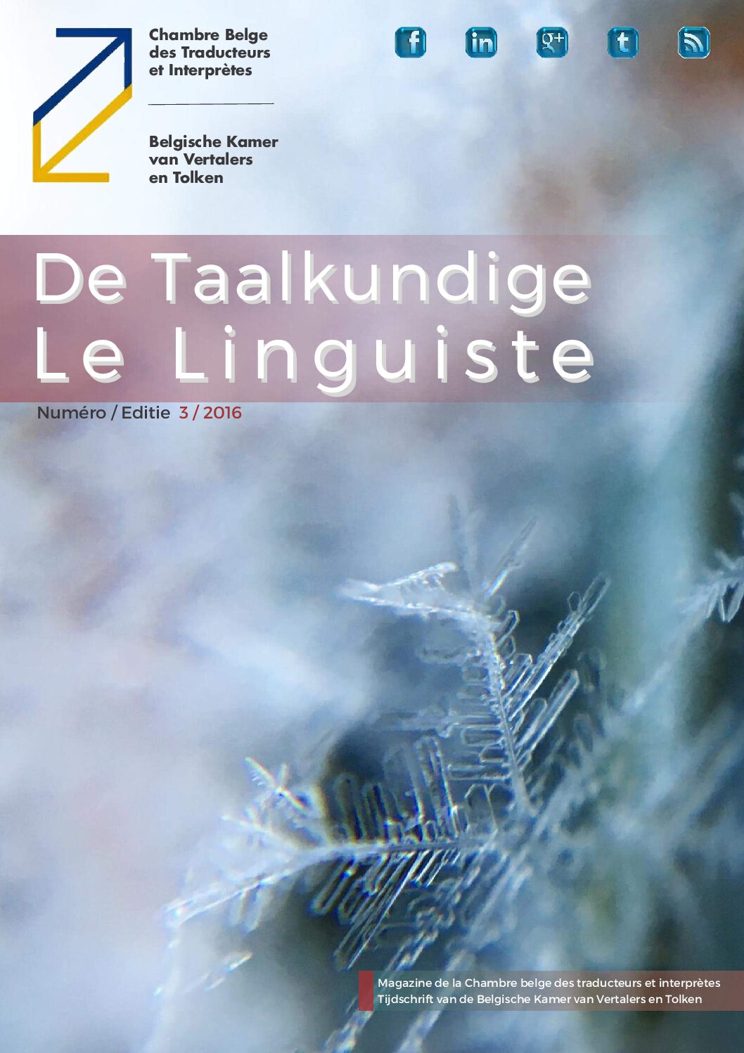 Image de présentation pour le document : De Taalkundige – Le Linguiste 2016 / 3